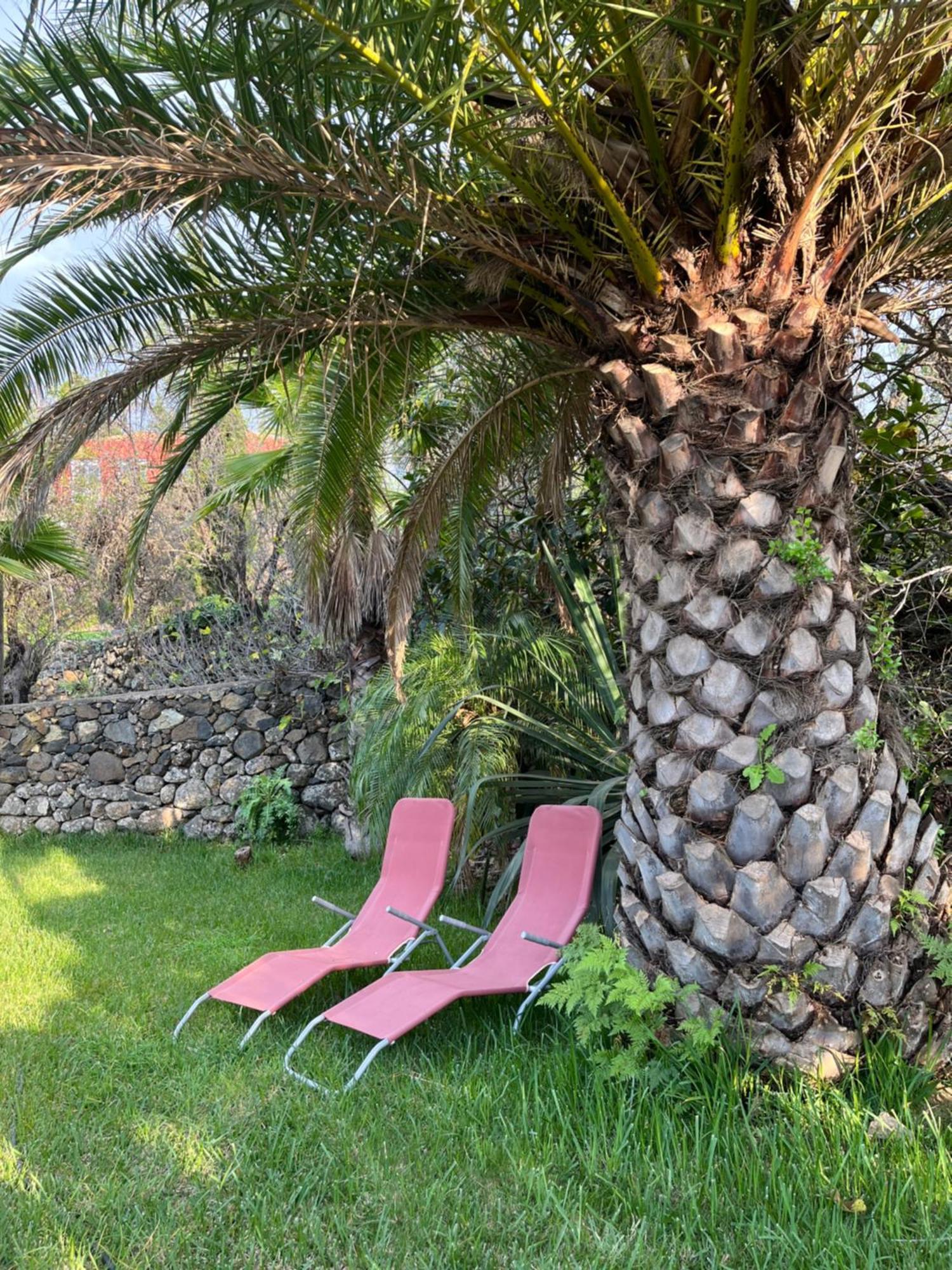 Feriendomizil Finca Tijarafe Mit Beheiztem, Abdeckbarem Pool Zewnętrze zdjęcie