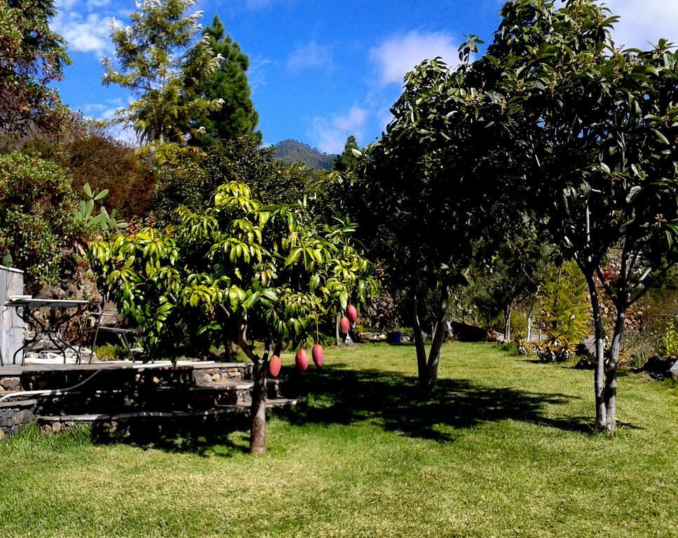 Feriendomizil Finca Tijarafe Mit Beheiztem, Abdeckbarem Pool Pokój zdjęcie
